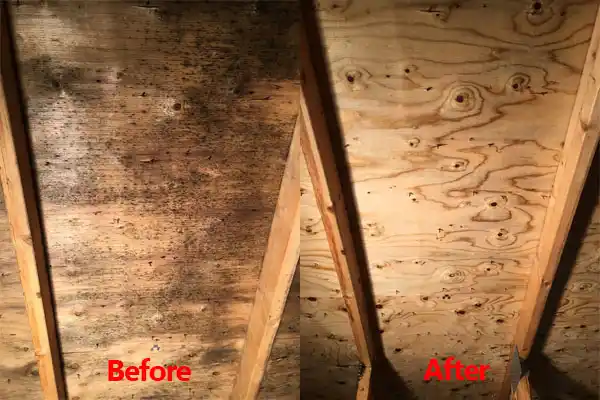 water damage restoration service Ocean Bluff-Brant Rock